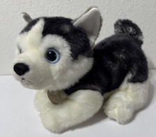 Miyoni by Aurora Tots Siberian Husky Puppy Dog Plush Stuffed Animal 9" Blue Eyes