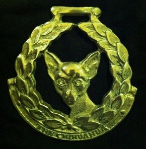 Oversized THE CHIHUAHUA Horse Brass England Dog Lover CHIHUAHUA John E Ellis