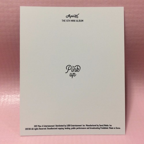 APINK 6o Mini Álbum ROSA TARJETA FOTOGRÁFICA Oficial POLAROID SELECT Tarjeta fotográfica K-pop - Imagen 27 de 60