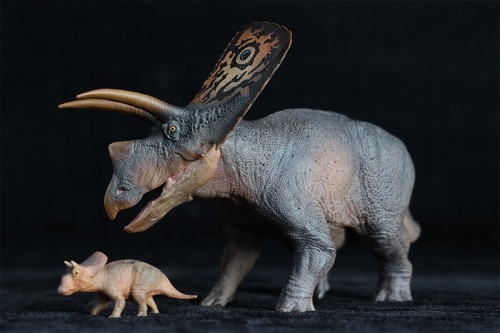 PNSO 1/35 Torosaurus Model Dinosaur Animal Figure Decor Collections Toys Gift - Picture 17 of 18