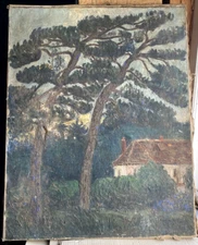 Oil Painting Unreadably Signed Circa 1900 Pines And House By The Coast