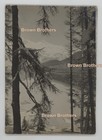 Vintage 1920s Alpine Vista Snow Capped Mountains & Tall Evergreens Mounted Photo — photo 1
