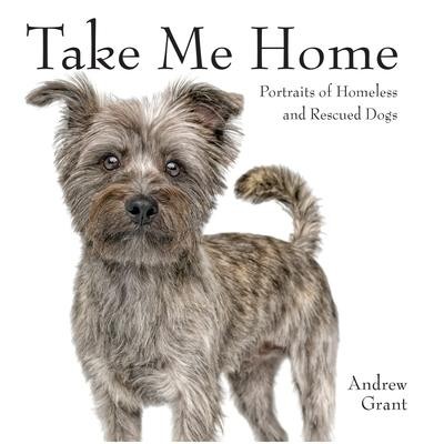 Take Me Home | englisch