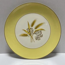Dinner Plate 10” Vintage Century Service “Autumn Gold” Ohio