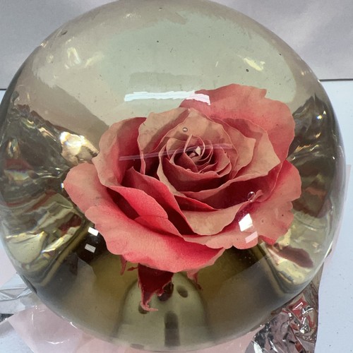 Forever ROSE/PINK In Glass Ball Water Dome Globe Large Real Rose 6x6 in. - Picture 5 of 9