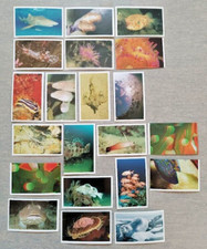 Abenteuer Weltmeere 21 verschiedene Sticker Tegut ?? sehr gut erhalten