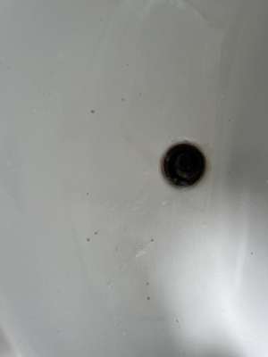 #ad #ad 6.75 Inch Tonsil Stone Remover with Silicone Cap amp; Storage Case Travel Ready $21.59