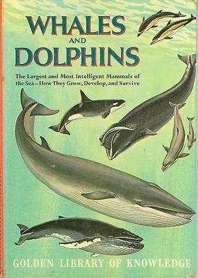 Whales and Dolphins, the Largest and the Most Intelligent Mammals of the Sea...