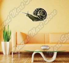 Cute Funny Snail Slow Speeding Wall Sticker Interior Decor 25"X16"