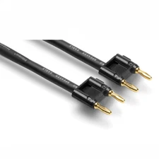 Hosa SKJ-610BB 10-Feet Dual Banana Speaker Cable
