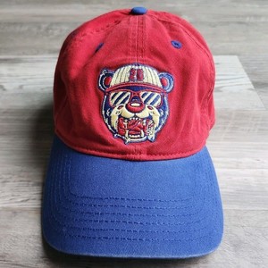 Lollapalooza Hat | eBay