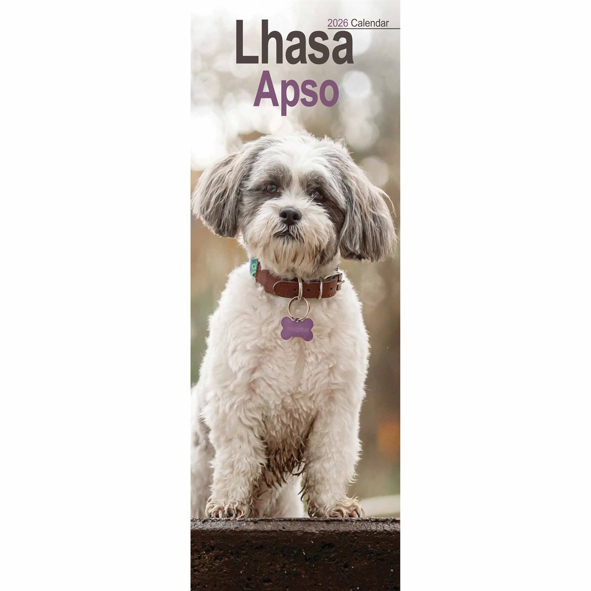 Lhasa Apso Slim Calendar 2026, Wall Calendars, Month To View, Dogs, Gift