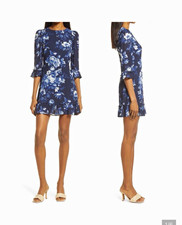 Reformation Doutzen Blue White Floral Chiffon Ruffle Lined Mini Dress Size 4