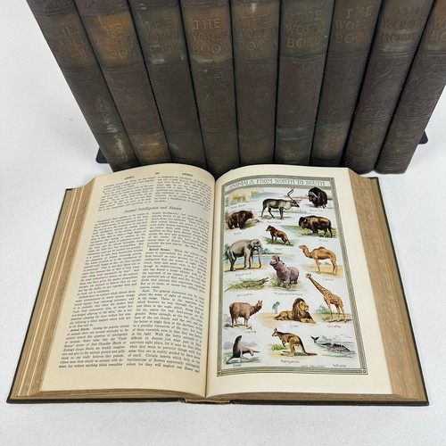 The World Book Complete 10 Volume Set Organized Knowledge in Story and Picture - Picture 9 of 15