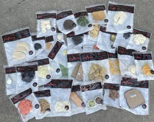 Life Form by Nasco Replica Realistic Food Lot Of 33 Stage Photo Props in Bags