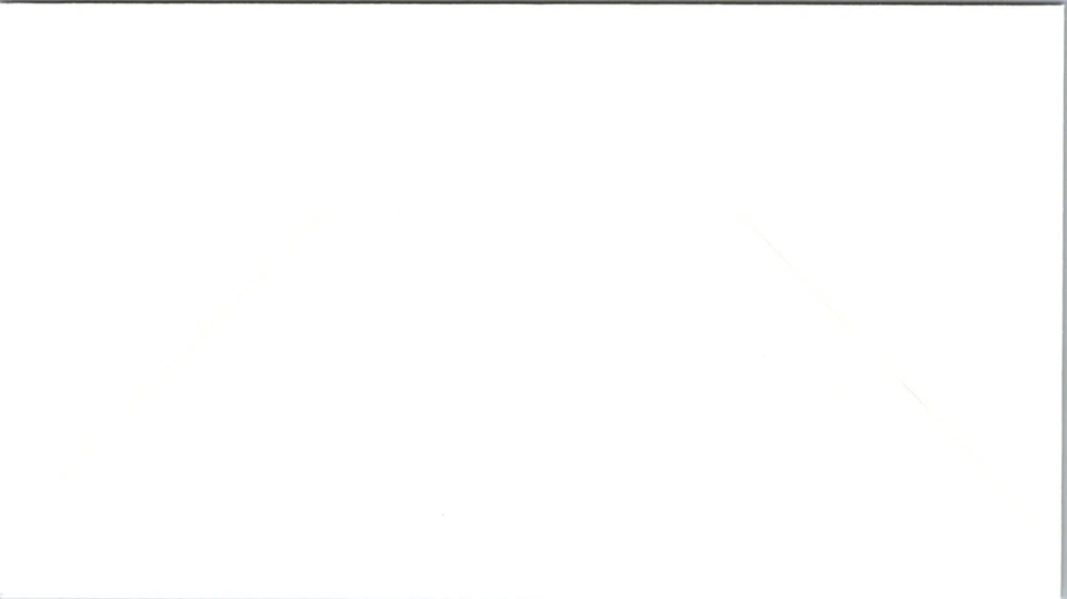 Artesanía FDC 2006 SC #4099, cocodrilo - Nápoles, FL - individual - J1294 Foto 2 de 2