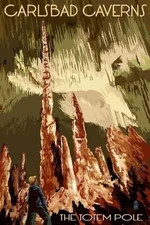Carlsbad Caverns Travel Poster Print  Reproduction Giclee Print 11x17