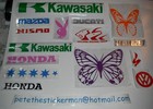 Bild 8 von 8