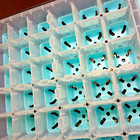 Seed Starting Tray | 36 Cell | Reusable Seed Starter Tray | Burpee Brand | New