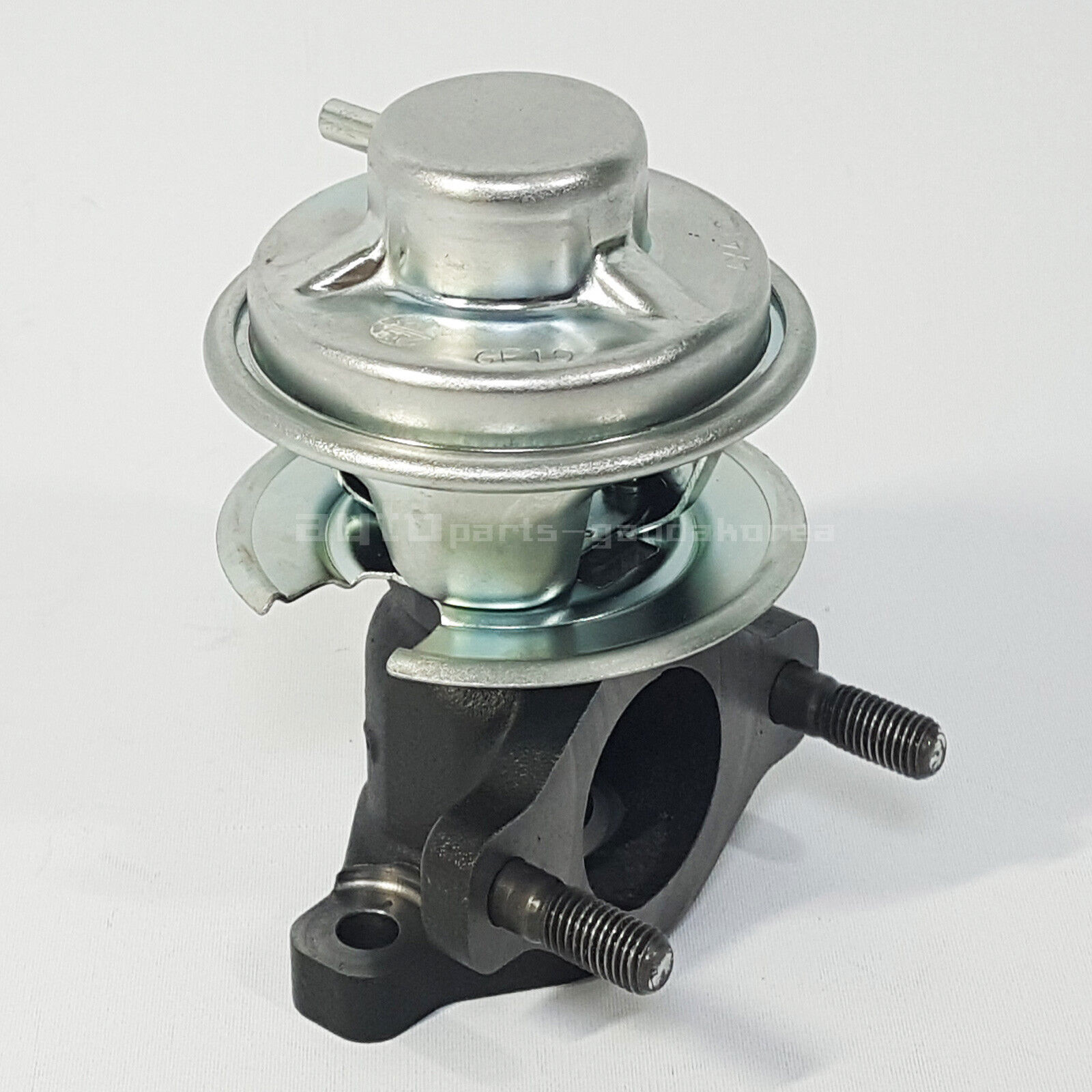 Motoforti Wasserpumpe Für Hyundai Terracan 2001-2006 No
