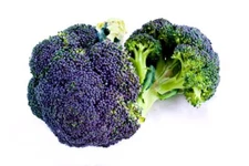 Burgundy Broccoli Seeds for Planting (25 Seeds) - Full Size Broccoli Plants with