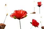 Bild 4 von 16