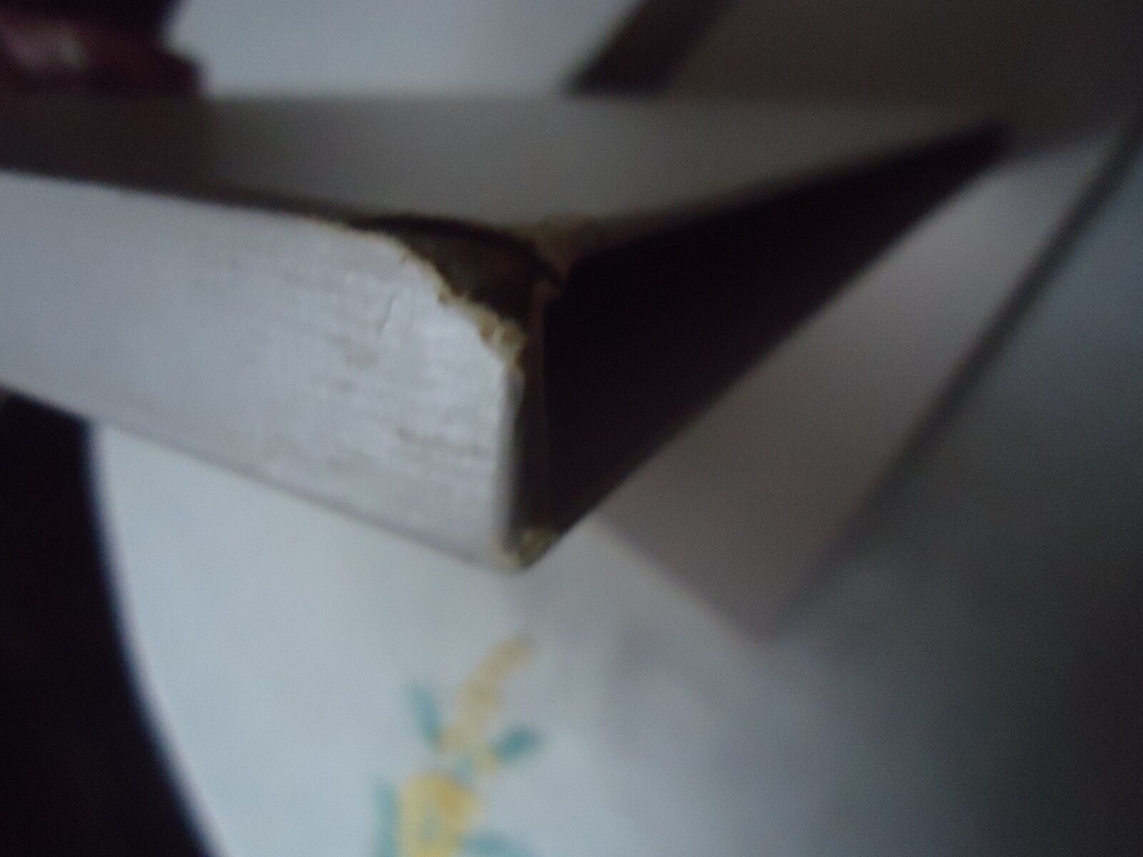 Bild 8 von 12