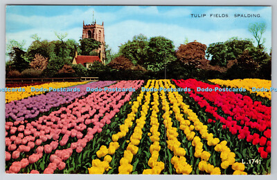 R757390 Spalding Tulip Fields Valentine Valesque 1966