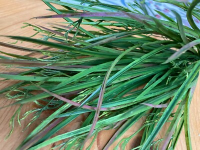 Floristikzubehör GRAS BLÜTENANSÄTZE Busch Kreativ Gestalten Basteln Dekorieren