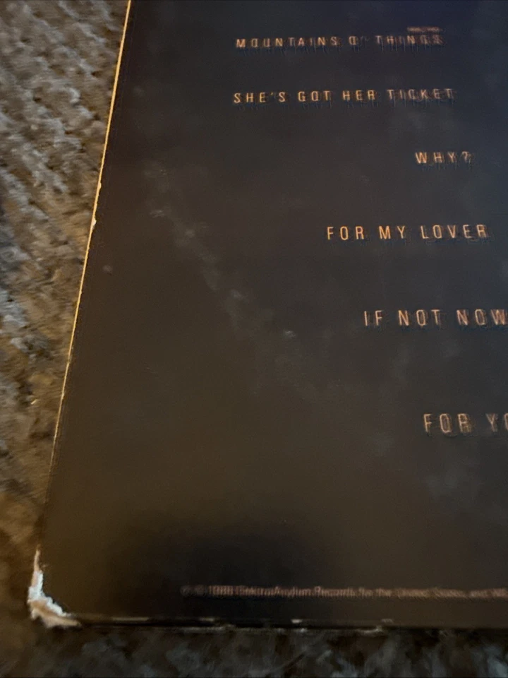 TRACY CHAPMAN 1988 ELEKTRA LP 60774-1 ACOUSTIC POP FOLK ROCK NM VINYL Foto 3 de 4