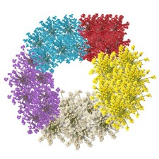 60 Pcs Dried Pressed Flowers for Resin DIY Art Crafts Natural Dry Floral Epox...