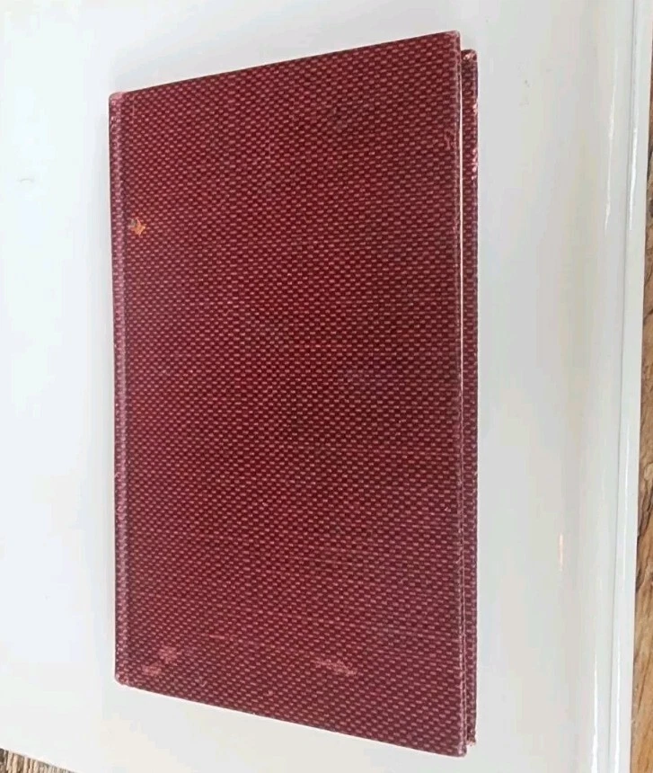 Rare 1914 CHINESE - JAPANESE COOK BOOK FiRST EDiTION SARA BOSSE ONOTO WATANNA - Image 4 of 4