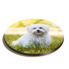 Round MDF Coaster Cute White Maltese Dog Puppy #50709