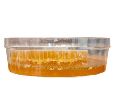 HONEY COMB 17.6oz 500g 100% PURE UNFILTERED HONEYCOMB