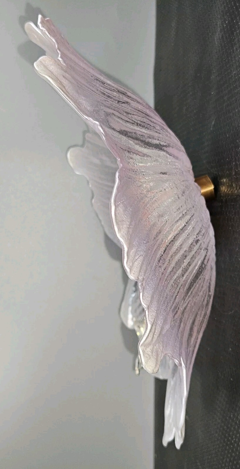 Picture 4 of 15