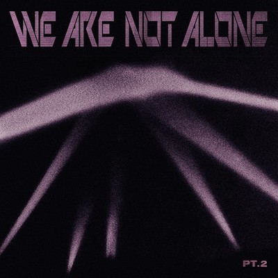 Various Artists We Are Not Alone: Pt. 2 (Schallplatte) 12'' Album