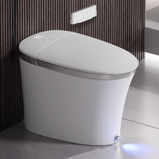 Smart Toilet with Powerful Flush, Auto Open/Close,Foam Shield, Elongated Heated