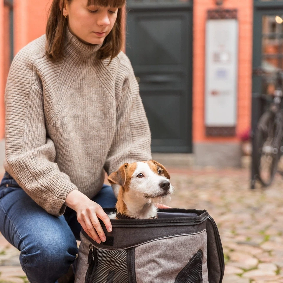 Trixie Rucksack Timon Nylon schwarz/grau 34x44x30cm für Hunde bis 12kg - Bild 4 von 4
