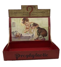 VINTAGE DRUGSTORE COUNTERTOP ADVERTISING DISPLAY WITH BOSTON TERRIER DOG FOCUS