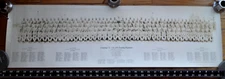 WW2 Panoramic Army Military Picture- Co.A 7th Quartermaster Reg. Camp Lee 1942