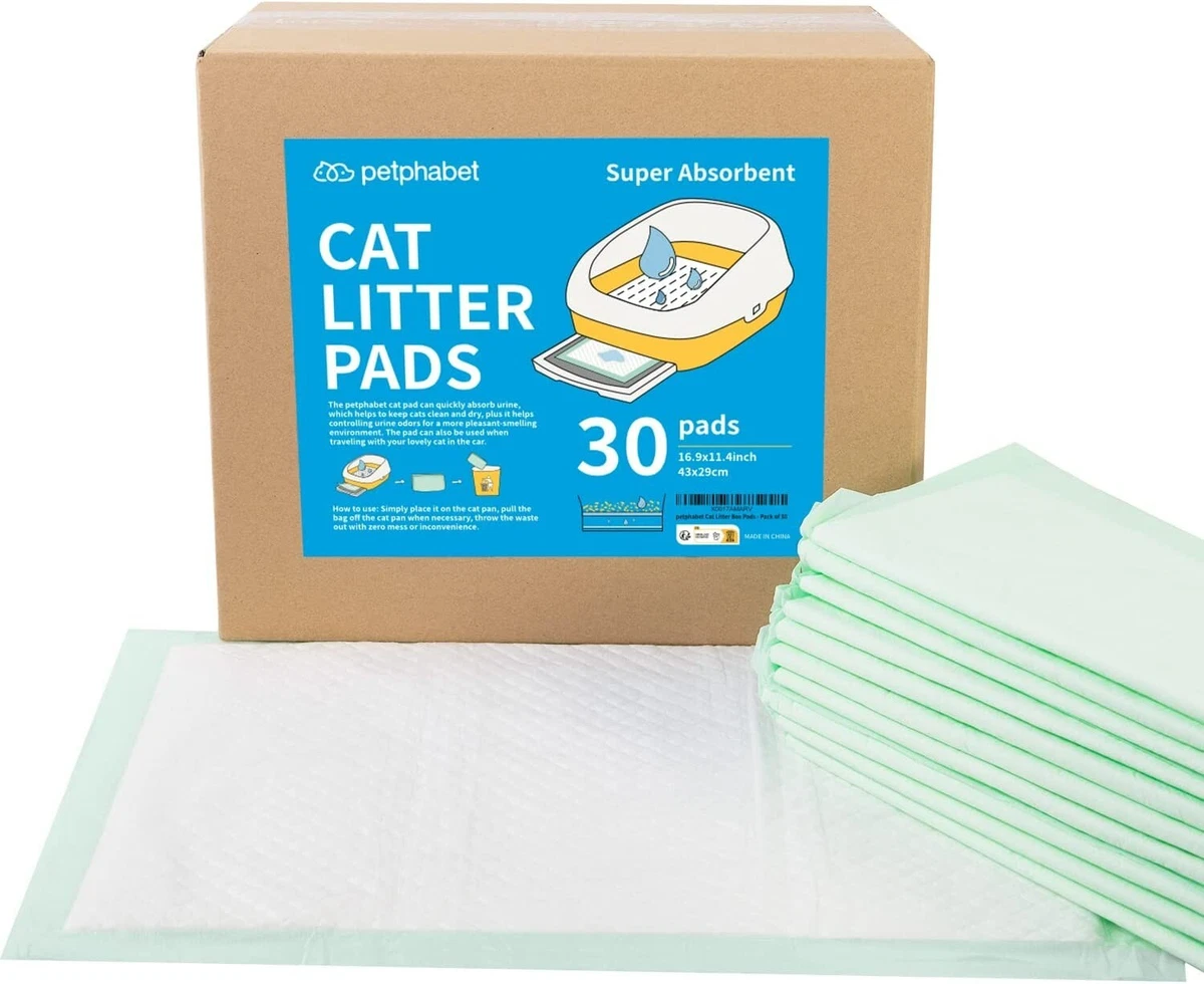 Kitten training cheap pads