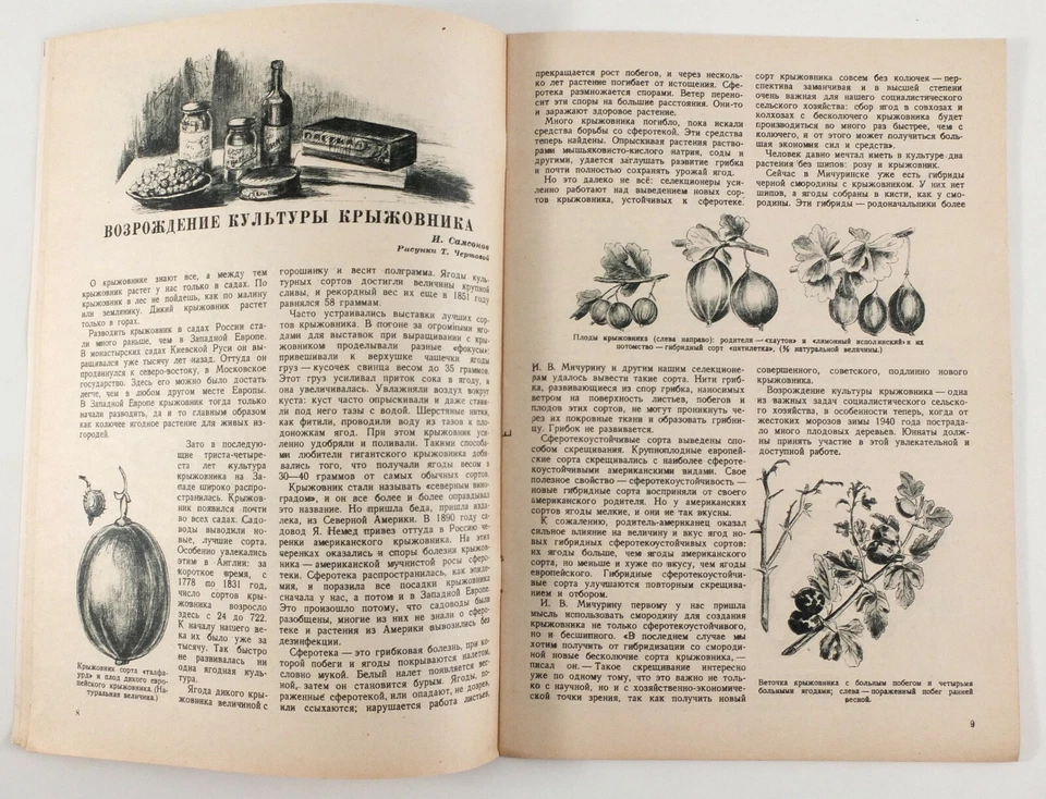 1941 Soviet Russian WW2 time Children's Magazine YOUNG NATURALIST - Image 4 of 4