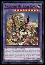 Amazoness Pet Liger King Darkwing Blast DABL-EN098 MP YuGiOh TCG