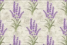 TESSUTO NON TESSUTO FOTOMURALE carta da parati rotoli XXL naturale botanico lavanda fiori 189