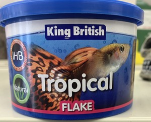 king british tropical fish food