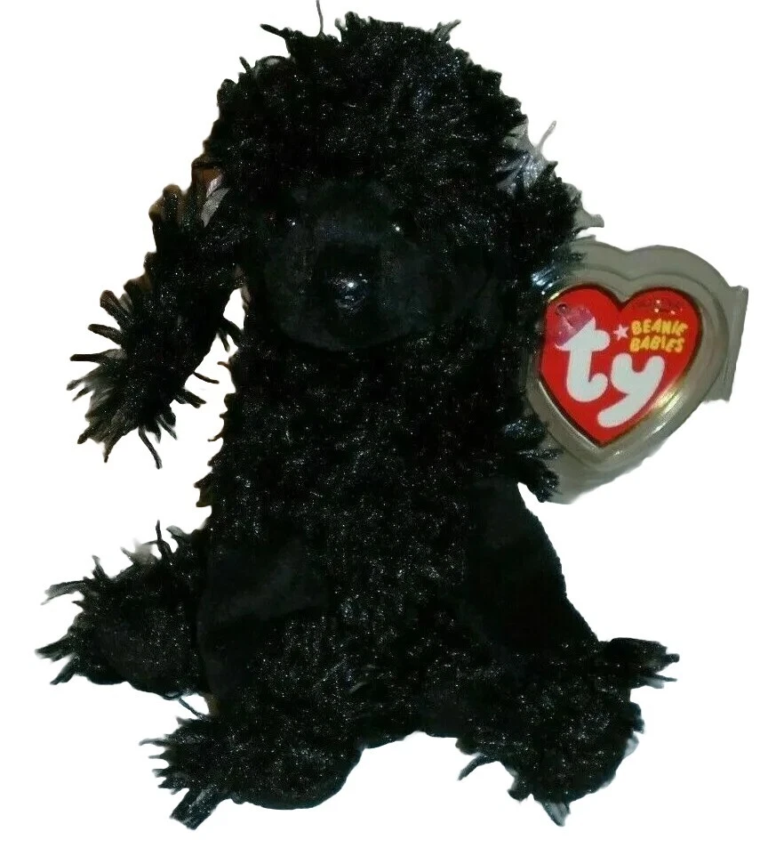 Poodle 2025 dog black