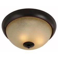 Oil Rubbed Bronze 2 Light Flush Mount Ceiling Light Fixture 167970