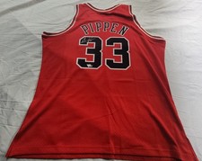 Chicago Bulls Collecting and Fan Guide 87