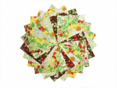 10 10'' Prairie Fields Charm Pack-5 different patterns/colors-2 of each