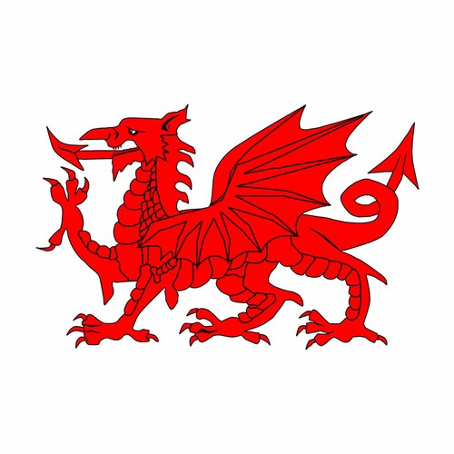 2 x Welsh Dragon Iron on